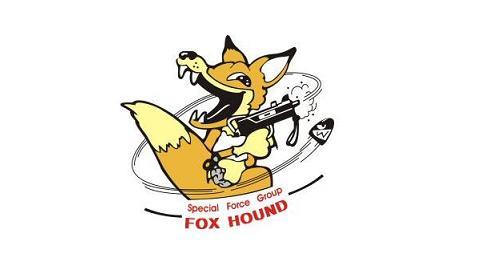 Foxhound insignia.JPG